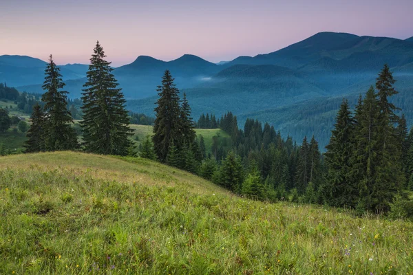 Majestätisk utsikt över skogen glöder av solljus på twilight. Dramatiska och pittoreska morgon scen. — Stockfoto