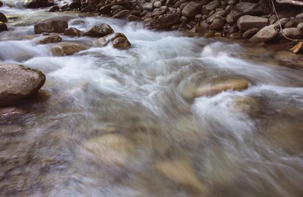 Nice beautiful mountain stream Stock Picture