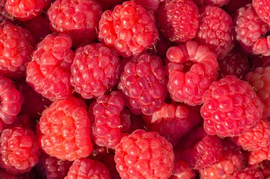 Taze ahududu arka planı