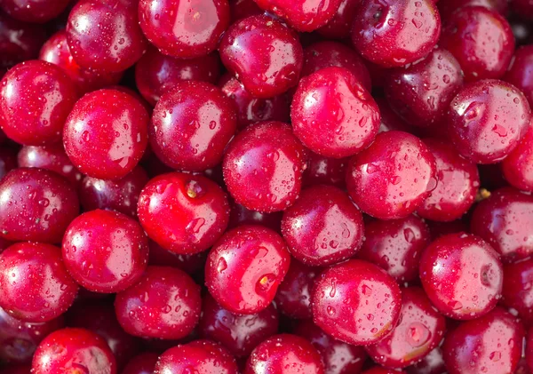 Mucchio di ciliegie fondo frutta fresca — Foto Stock