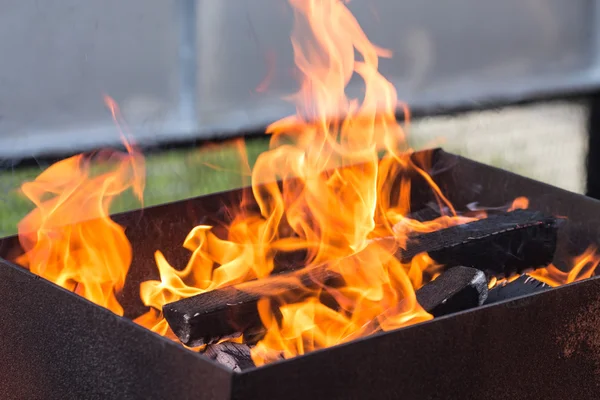 Burning wood in a brazier. — Stock Photo, Image