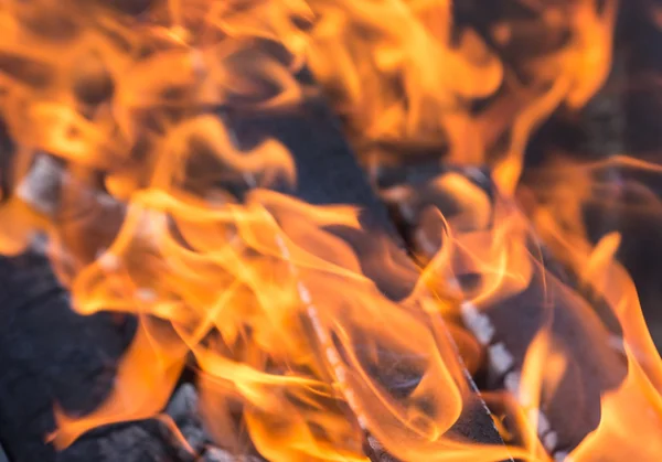 Wood burning in the fire - background — Stock Photo, Image