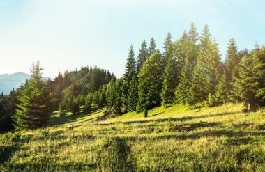 Dağlarda muhteşem bir gün batımı..