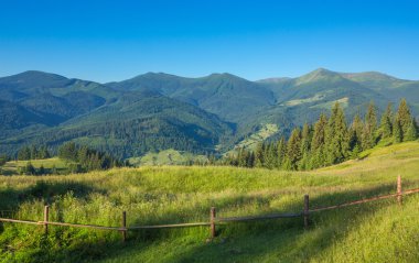 Güneş ışığı tarafından alacakaranlık parlayan Woods görkemli manzara. Dramatik ve pitoresk sabah sahne.