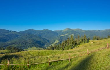 Güneş ışığı tarafından alacakaranlık parlayan Woods görkemli manzara. Dramatik ve pitoresk sabah sahne.