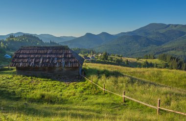 Alp alanları güzel bahar büyümek