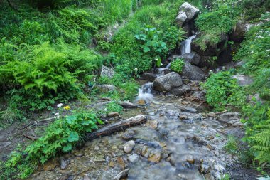 güzel güzel dağ dere