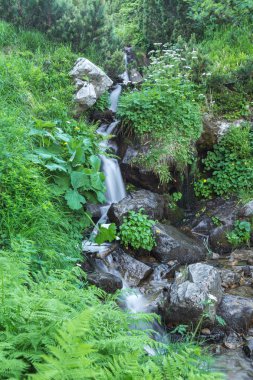 güzel güzel dağ dere