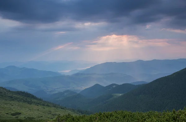 Vista majestosa da floresta brilhando à luz do sol no crepúsculo. Cena de manhã dramática e pitoresca . — Fotografia de Stock