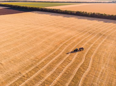 Buğday tarlasında hasat makinesinin hava görüntüsü.