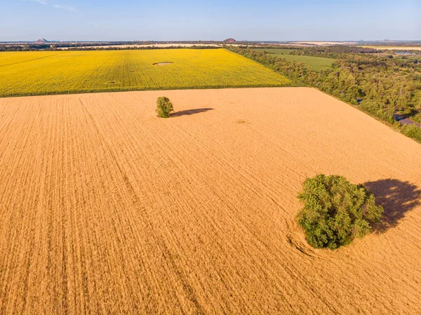 Schöne Drohnensicht Von Oben Der Grenze Zwischen Zwei Feldern Gelb — Stockfoto