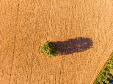 Güneşli bir günde tarıma ve ekili alanlara nefes kesici bir bakış açısı. Drone fotoğrafçılığı..