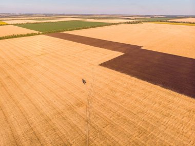 Tarlada çalışan hasat makinesi. Buğday tarlasını hasat eden tarım makinesini birleştirin..