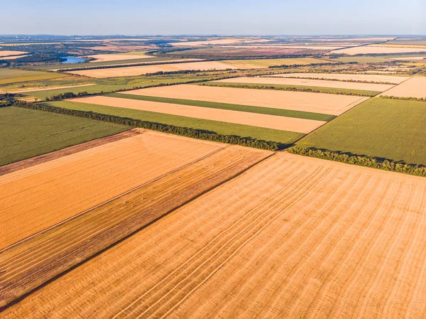 Luftbild des Sommerbauernhofs Weizenfeld — Stockfoto