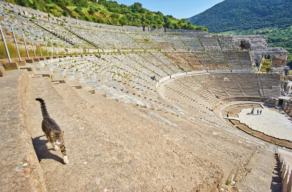 Selcuk Turkije April 2018 Amfitheater Romeinse Ruïnes Van Efeze Turkije — Stockfoto