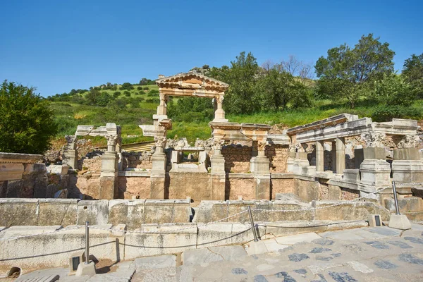 Selcuk Turquía Abril 2018 Cat Ruins Ancient City Éfeso Antigua —  Fotos de Stock