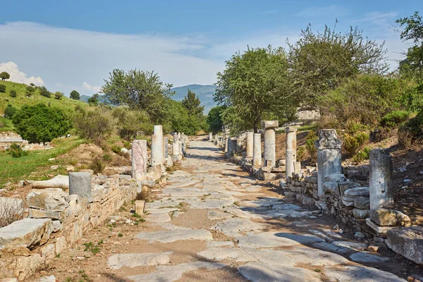 Selcuk Turquie Avril 2018 Ruines Grecques Antiques Ephèse Anatolie Turquie — Photo