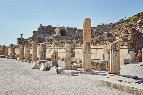 Selcuk Turquie Avril 2018 Chat Sur Les Ruines Ville Antique — Photo