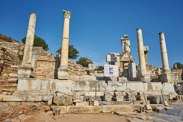 Selcuk Turquie Avril 2018 Chat Sur Les Ruines Ville Antique — Photo