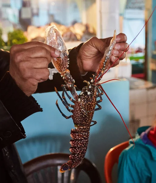Echte Vismarkt Verse Vis Zeevruchten Uit Atlantische Oceaan Marokko — Stockfoto
