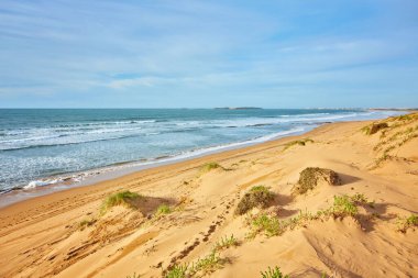 Essaouira, Fas kıyısındaki kumsal.