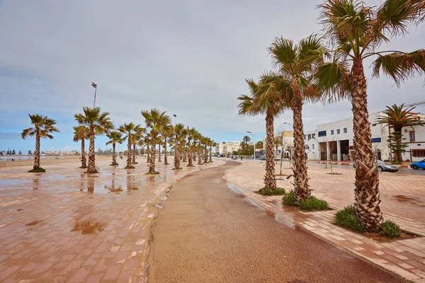 Strada Con Palme Lungo Costa Essaouira Marocco — Foto Stock