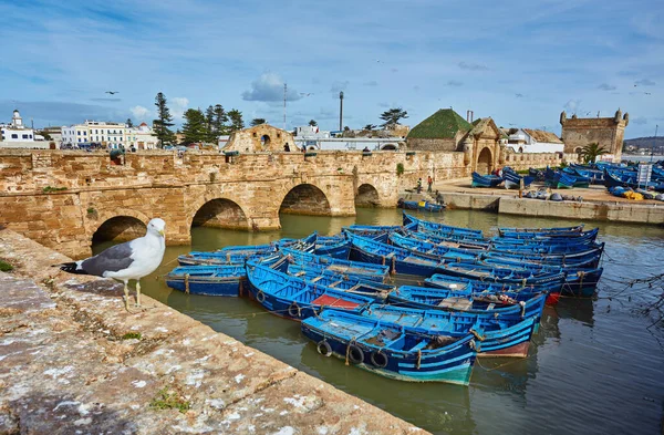 Sqala Port Een Verdedigingstoren Vissershaven Van Essaouira Marokko — Stockfoto