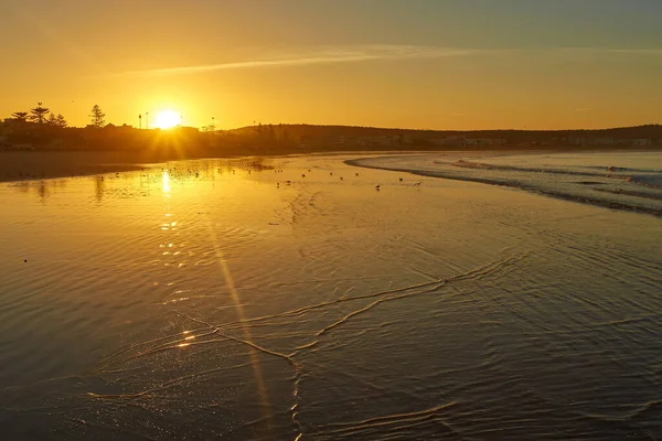 Belo Pôr Sol Praia Com Reflexos Água Gaivotas Areia Moinhos — Fotografia de Stock