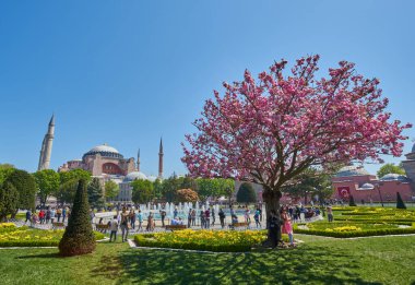 İstanbul, Türkiye - 23 Nisan 2018 İstanbul Sultanahmet ilçesinin alçak hava manzarası, Türkiye. Yürüyen insanlar, yeşil çimen tarlası ve ünlü Ayasofya 'nın yanındaki çeşme..