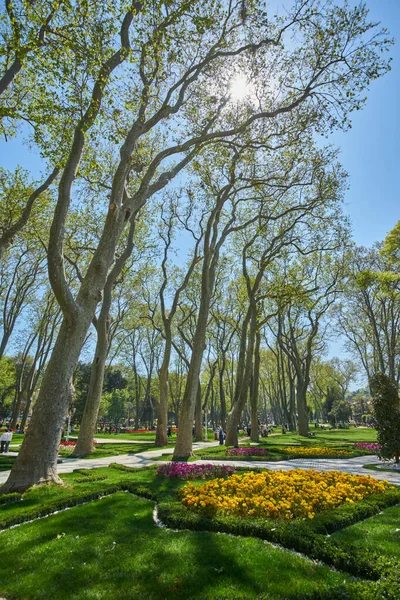 Istanbul Turkey April 2018 Annual Spring Festival Tulips New Design — Stock Photo, Image