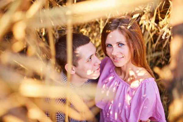 Beautiful Couple Embracing Fields Reeds Sunset Lovers Being Affectionate Beautiful — Stock Photo, Image