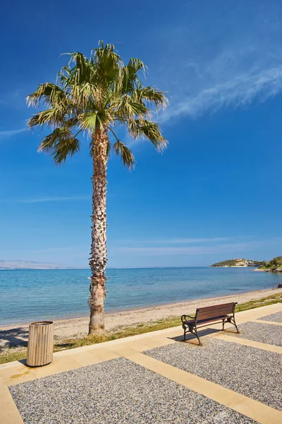 Palmen Van Konyaalti Promenade Antalya Turkije — Stockfoto