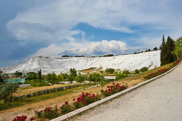 Pamukkale Τοπίο Στο Παρασκήνιο Των Ανθισμένων Κόκκινες Ζίννιες — Φωτογραφία Αρχείου