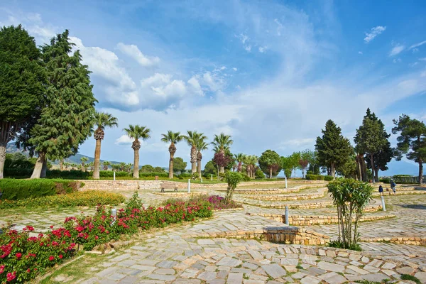 Pamukkale Landschap Achtergrond Van Bloeiende Rode Zintuigen — Stockfoto