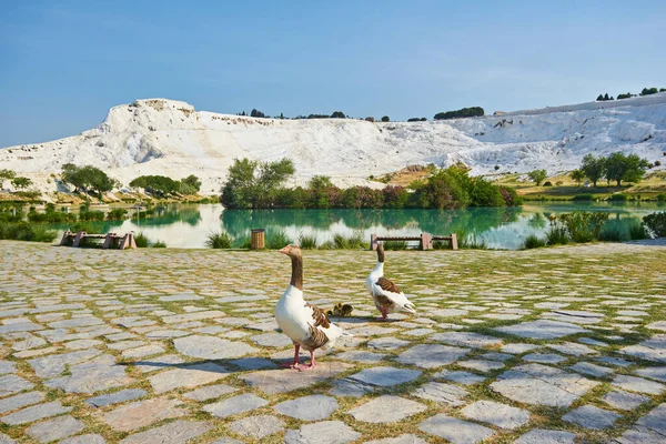 トルコのパムッカレにある小さな湖 — ストック写真