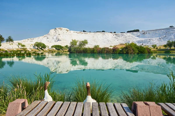 Lacul Mic Din Pamukkale Turcia — Fotografie, imagine de stoc