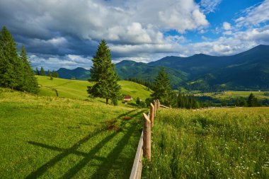 Dağlar ve çiçeklerle İlkbaharda Alplerde