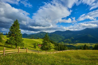 Alplerde yeşil çayırlar, çiçek açan çiçekler ve arka planda karla kaplı dağ tepeleri olan Idyllic manzarası.