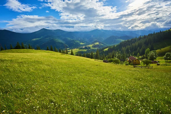 Vår Alperna Med Berg Och Blommor — Stockfoto