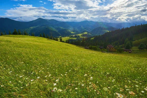 Frühling Den Alpen Mit Bergen Und Blumen — Stockfoto