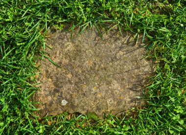 Tek boyutlu gri şekilli kare kaldırımın üst görüntüsü. Yeşil otlar dikişlerde yetişir. Dış tasarım döşeme arkaplanı.