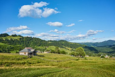 Yazın dağlarda çam ormanları olan manzara