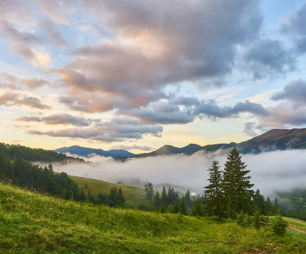 Landscape Fog Mountains Rows Trees — Stock Photo, Image