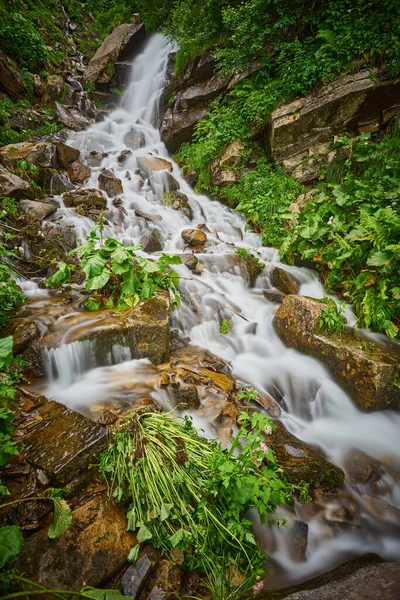 Flusso Montagna Veloce Nella Foresta Paesaggio Estivo — Foto Stock