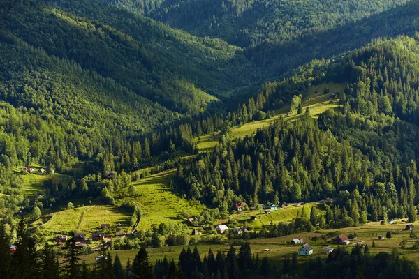 Idylliskt Landskap Alperna Med Färska Gröna Ängar Och Blommande Blommor — Stockfoto