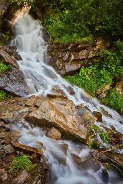Ormanda hızlı dağ deresi, dağlarda yaz mevsimi