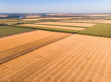 İnsansız hava aracı pov, mısır tarlaları, soya fasulyesi ve yüksek açılı buğday tarlalarından ekilmiş arazinin güzel kırsal arazi deseni