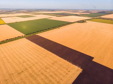 İnsansız hava aracı pov, mısır tarlaları, soya fasulyesi ve yüksek açılı buğday tarlalarından ekilmiş arazinin güzel kırsal arazi deseni