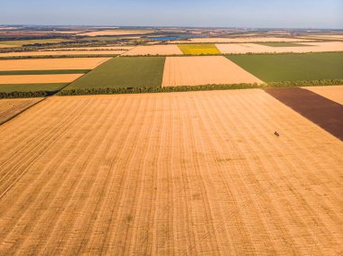 Buğday tarlasında hasat makinesinin hava görüntüsü. Tarımsal tema endüstriyel geçmişi. İşinizi denetlemek için dronları kullanın.
