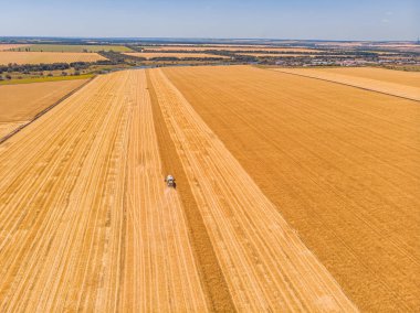 Tarlada çalışan hasat makinesi. Buğday tarlasını hasat eden ekin biçme makinesini birleştirin. Tarım. Hava görüntüsü. Yukarıdan.